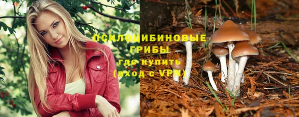 молекула духа Нефтекумск