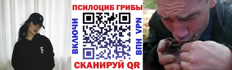 дарнет шоп  mega зеркало  Псилоцибиновые грибы Cubensis  даркнет клад  Почеп 