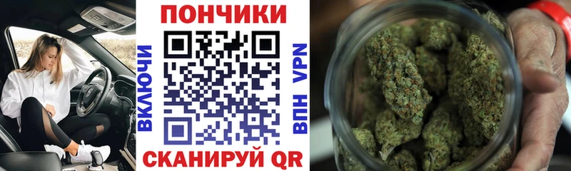 Марихуана индика Почеп